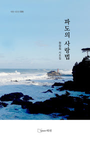 파도의 사랑법