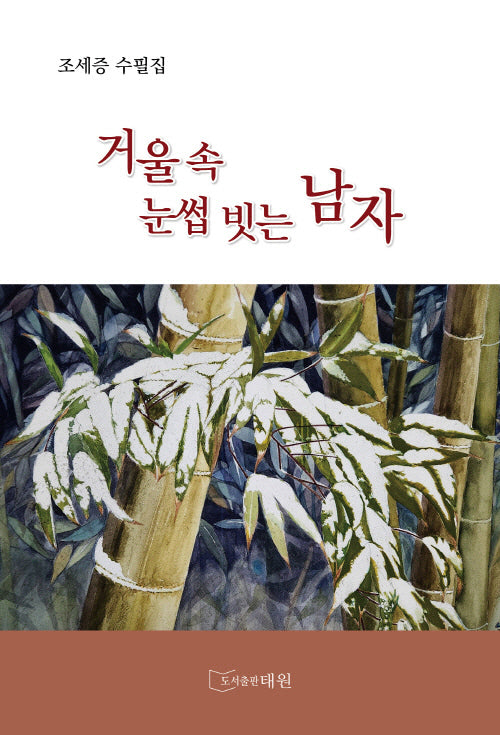 거울 속 눈썹 빗는 남자