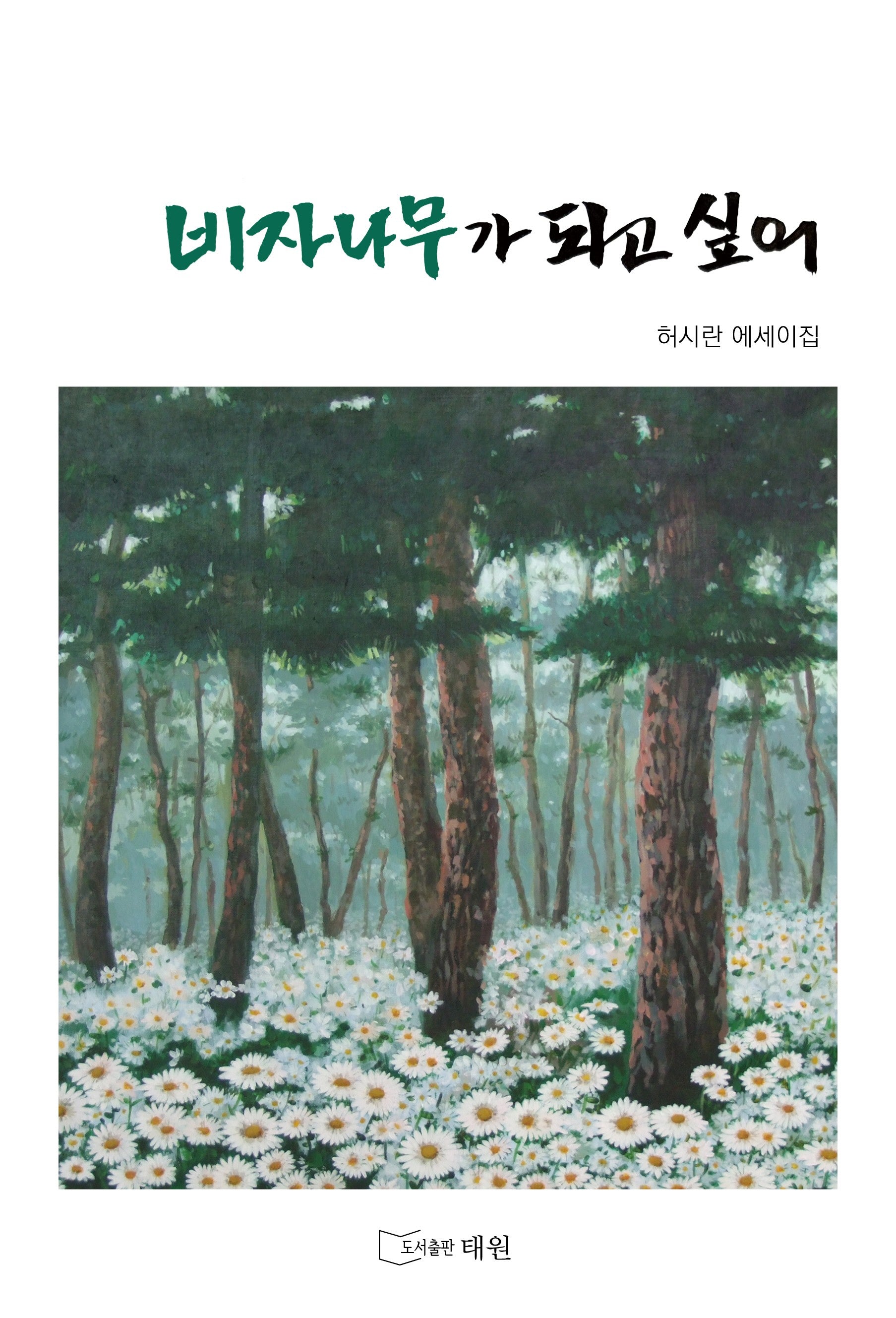 비자나무가 되고 싶어