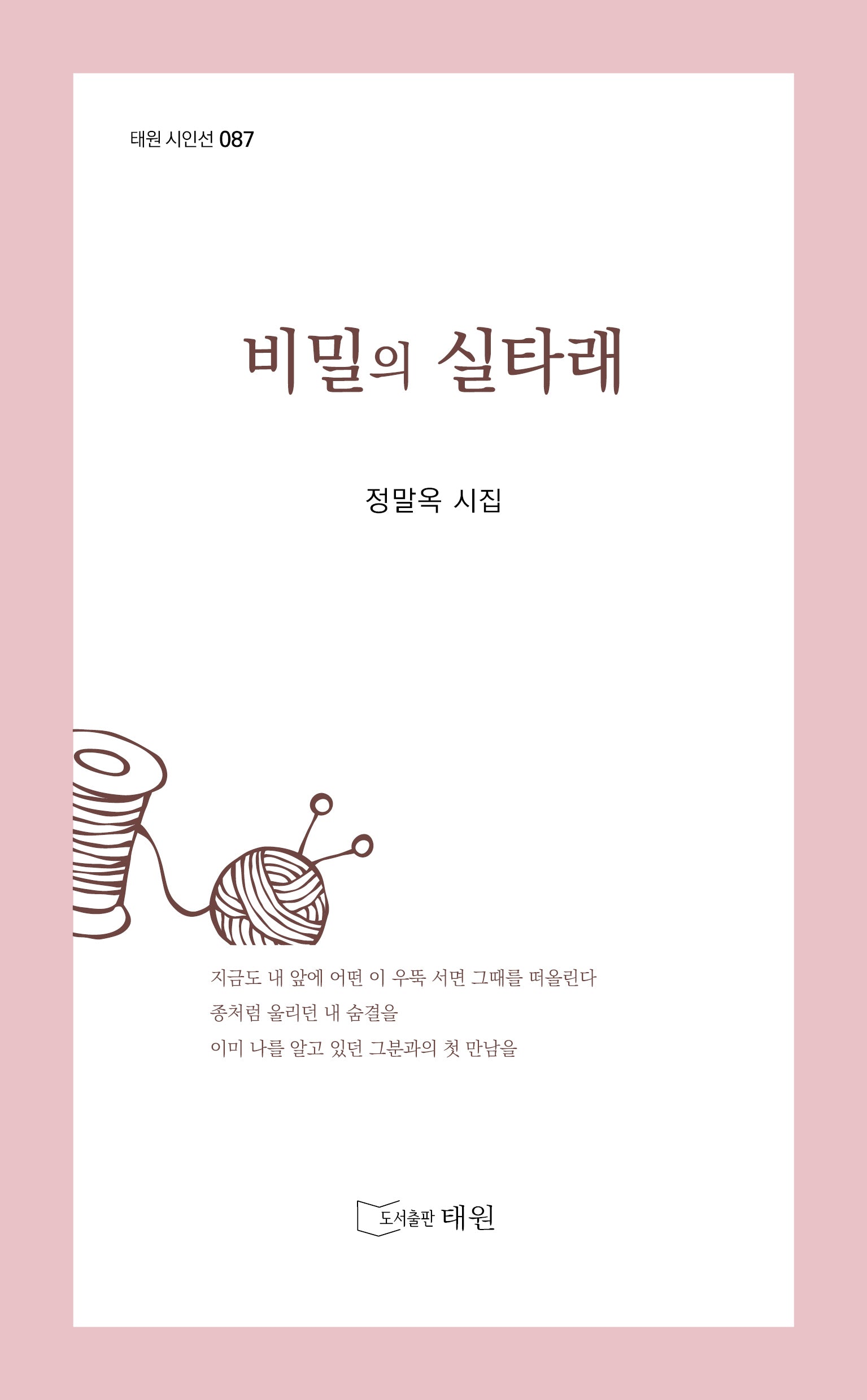 비밀의 실타래(태원 시인선 87)
