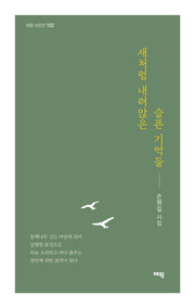 새처럼 내려앉은 슬픈 기억들(태원 시인선 102)