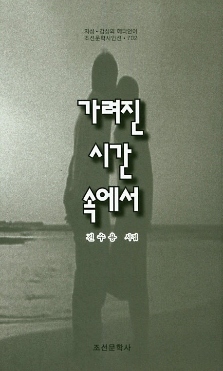 가려진 시간 속에서(조선문학시인선 702)