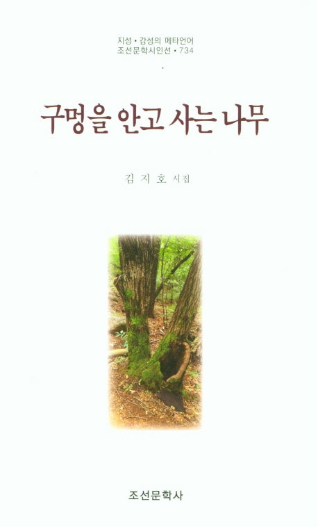 구멍을 안고 사는 나무(조선문학시인선 734)
