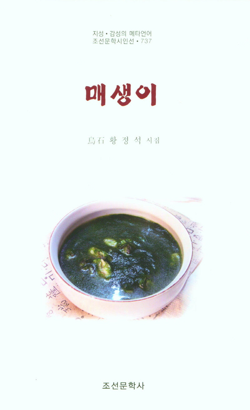 매생이(조선문학시인선 737)