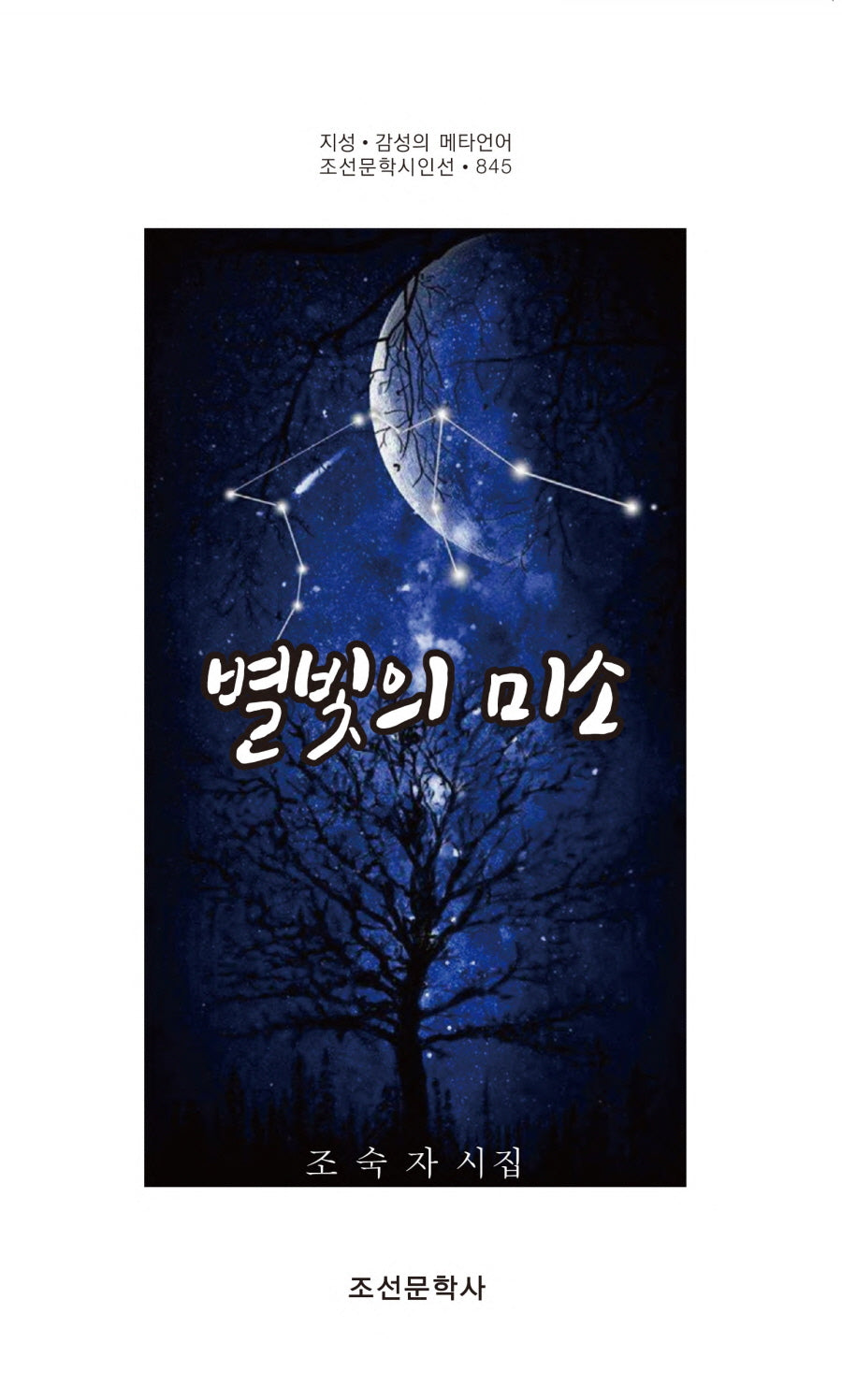 별빛의 미소(조선문학시인선 845)