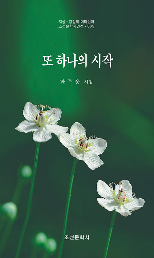 또 하나의 시작(지성 감성의 메타언어 조선문학시인선 869)