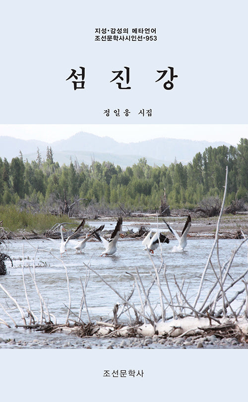 섬진강(지성 감성의 메타언어 조선문학사시인선 953)
