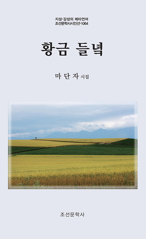 황금 들녘