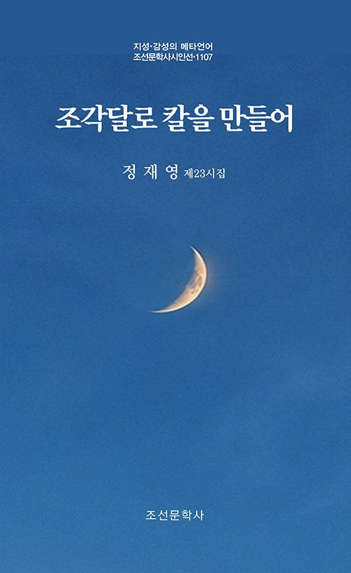 조각달로 칼을 만들어(지성·감성의 메타언어 조선문학사시인선 1107)