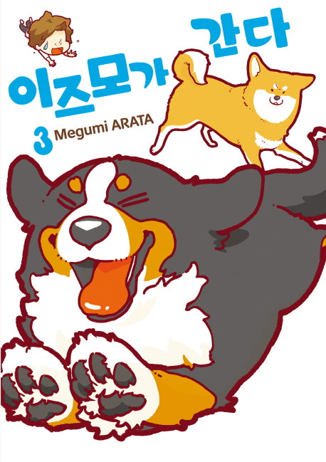 이즈모가 간다 3(완결)