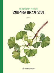 겉씨식물 바르게 알기