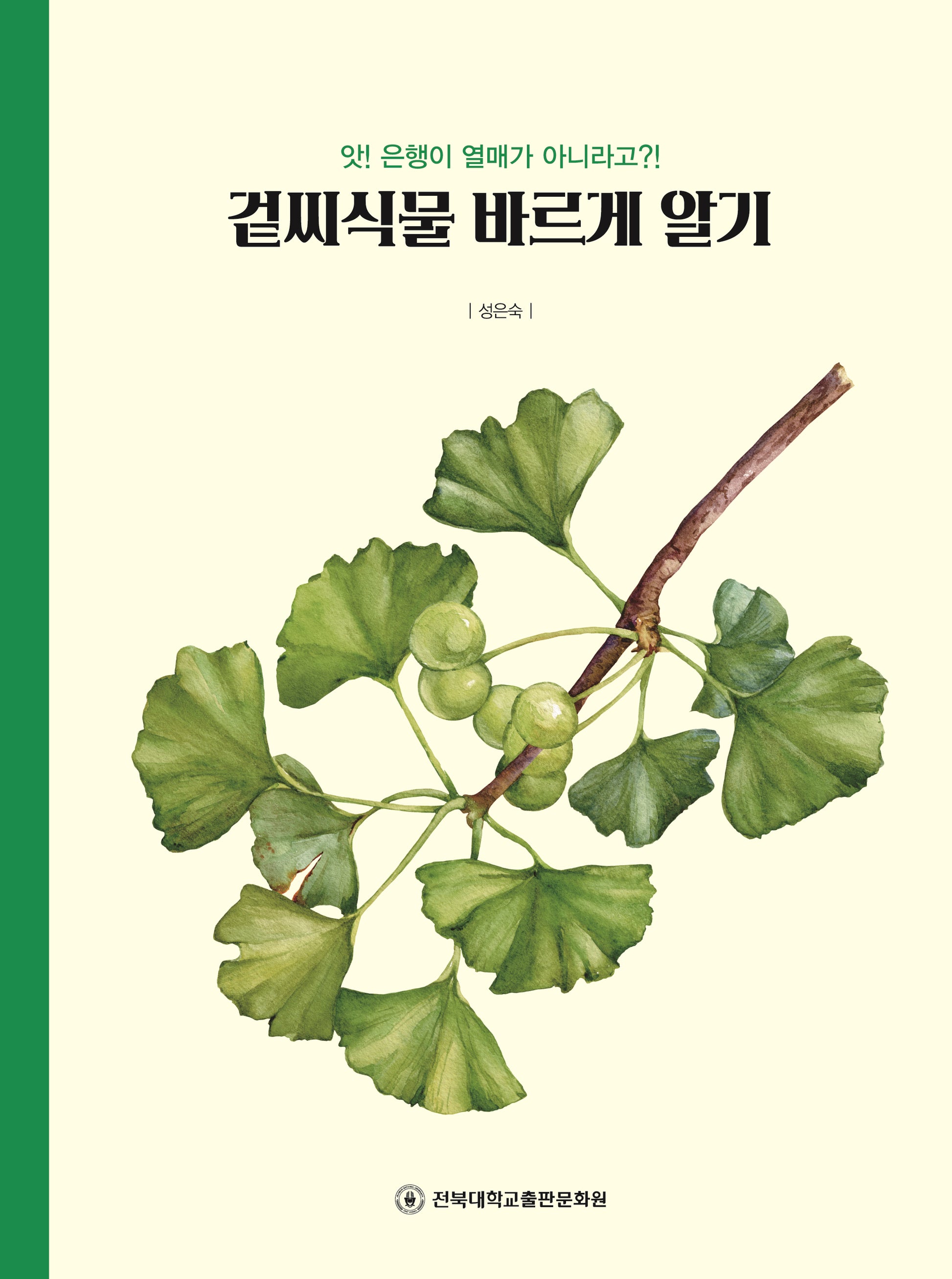 겉씨식물 바르게 알기
