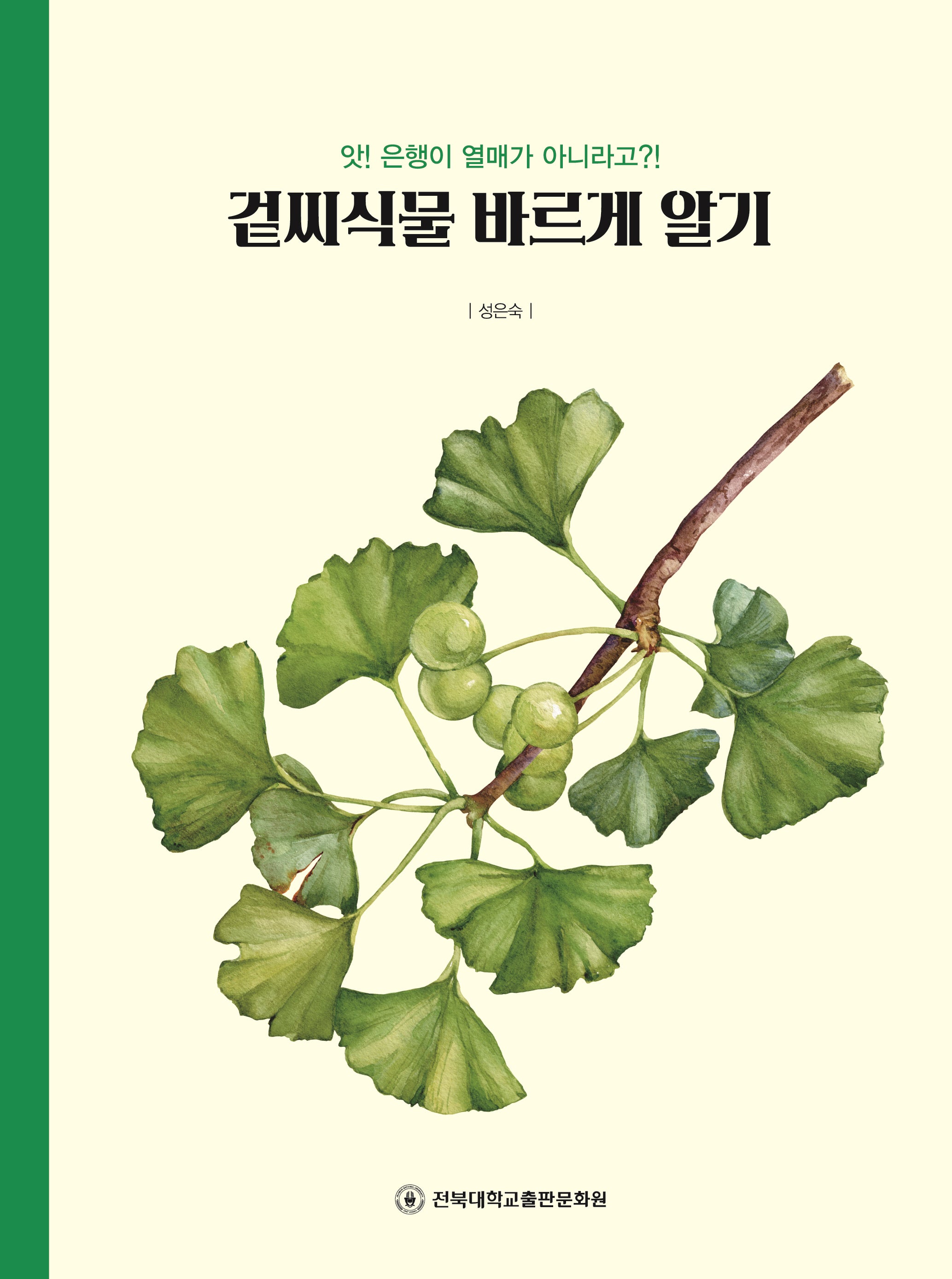 겉씨식물 바르게 알기