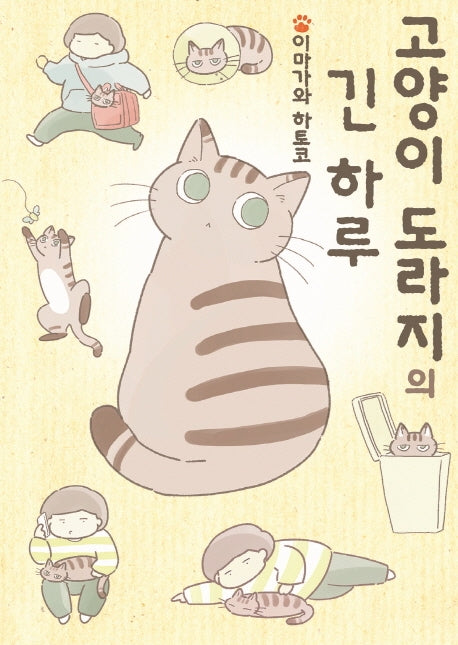 고양이 도라지의 긴 하루