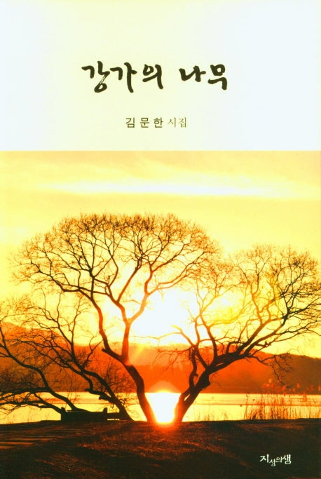 강가의 나무