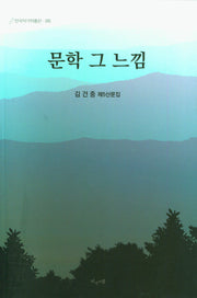 문학 그 느낌(한국작가작품선 135)