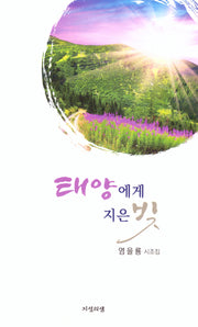 태양에게 지은 빚