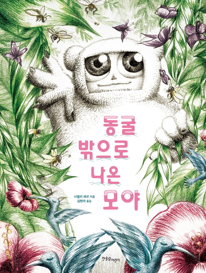 동굴 밖으로 나온 모야(양장본 Hardcover)