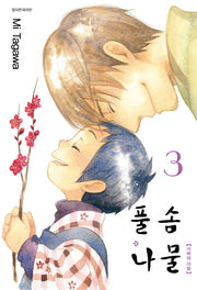 풀솜나물 3