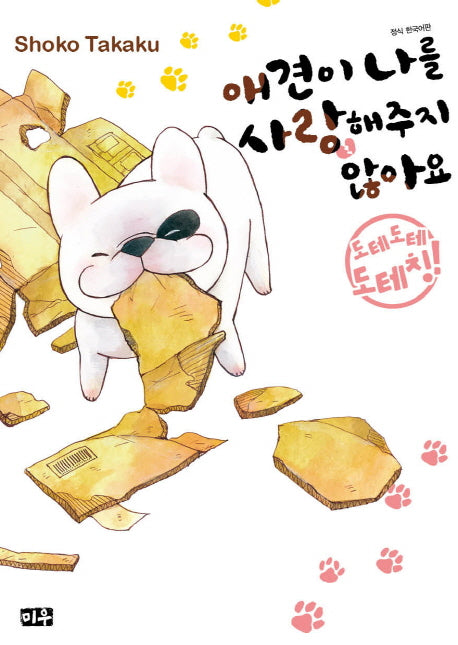 애견이 날 사랑해주지 않아요