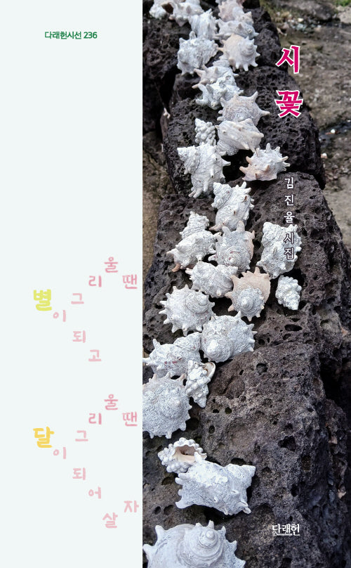 시 꽃(다래헌시선 236)