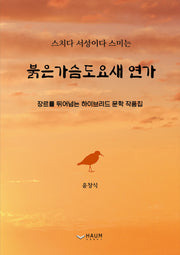 붉은가슴도요새 연가