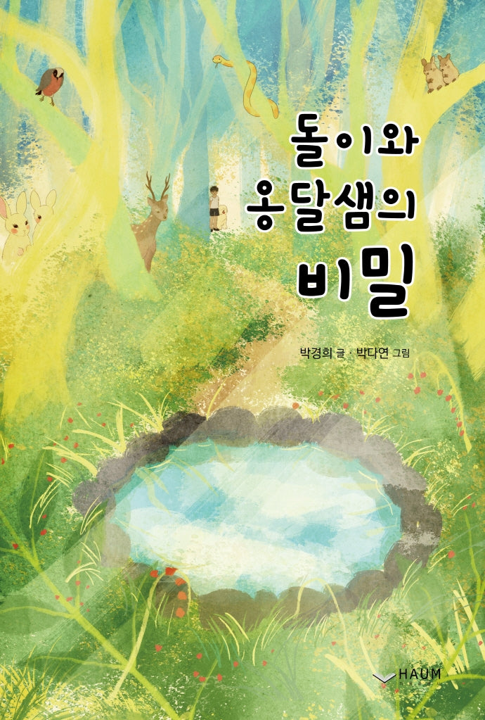 돌이와 옹달샘의 비밀(양장본 Hardcover)