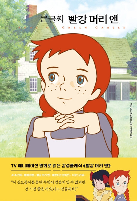 큰글씨 빨강 머리 앤(더모던 감성클래식 2)