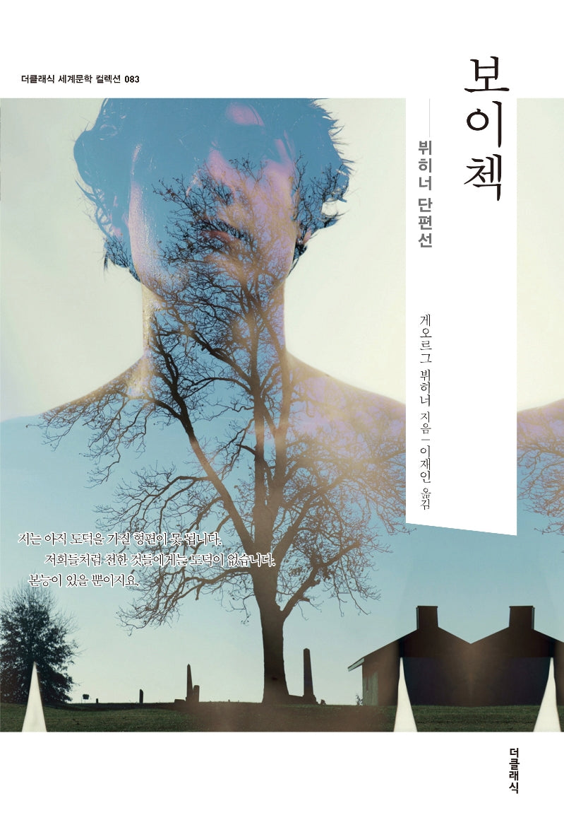 보이첵(더클래식 세계문학 컬렉션 83)