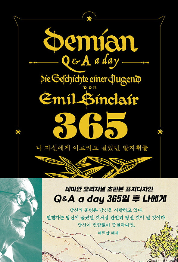 데미안 365일 후 나에게: Q&A a day(블랙벨벳 금장 에디션)