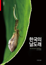 한국의 날도래(한국 생물 목록 30)