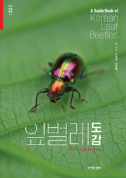 잎벌레 도감(한국생물목록 31)