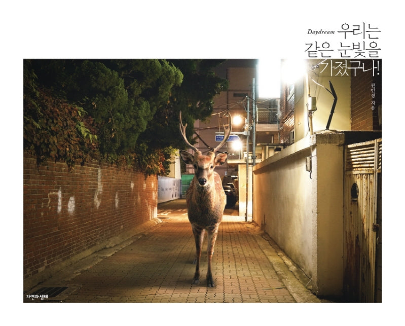 우리는 같은 눈빛을 가졌구나!(Daydream)(양장본 Hardcover)