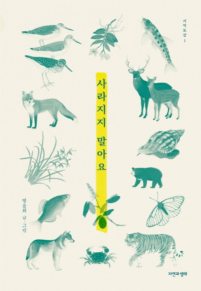 사라지지 말아요(기억도감 1)(양장본 Hardcover)
