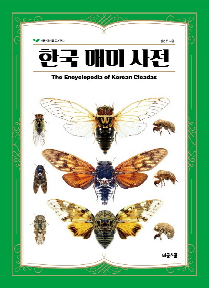 한국 매미 사전(어린이 생물 도서관 8)(양장본 Hardcover)