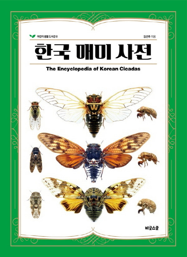 한국 매미 사전(어린이 생물 도서관 8)(양장본 Hardcover)