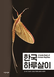 한국 하루살이(한국 생물 목록 36)