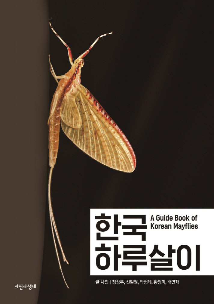 한국 하루살이(한국 생물 목록 36)
