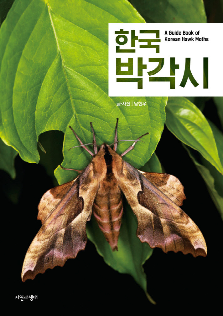 한국 박각시(한국 생물 목록 37)
