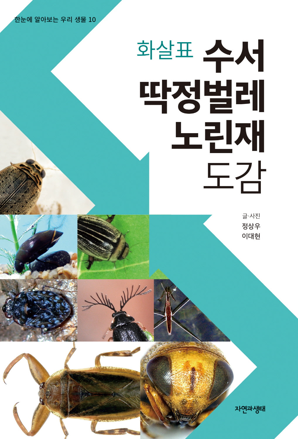 화살표 수서 딱정벌레 노린재  도감(한눈에 알아보는 우리 생물 10)