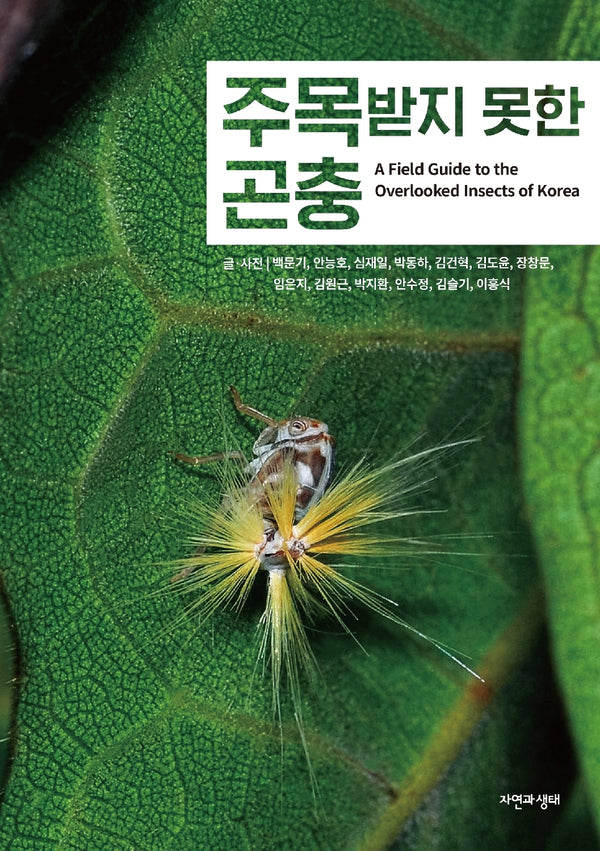 주목받지 못한 곤충(한국 생물 목록 40)