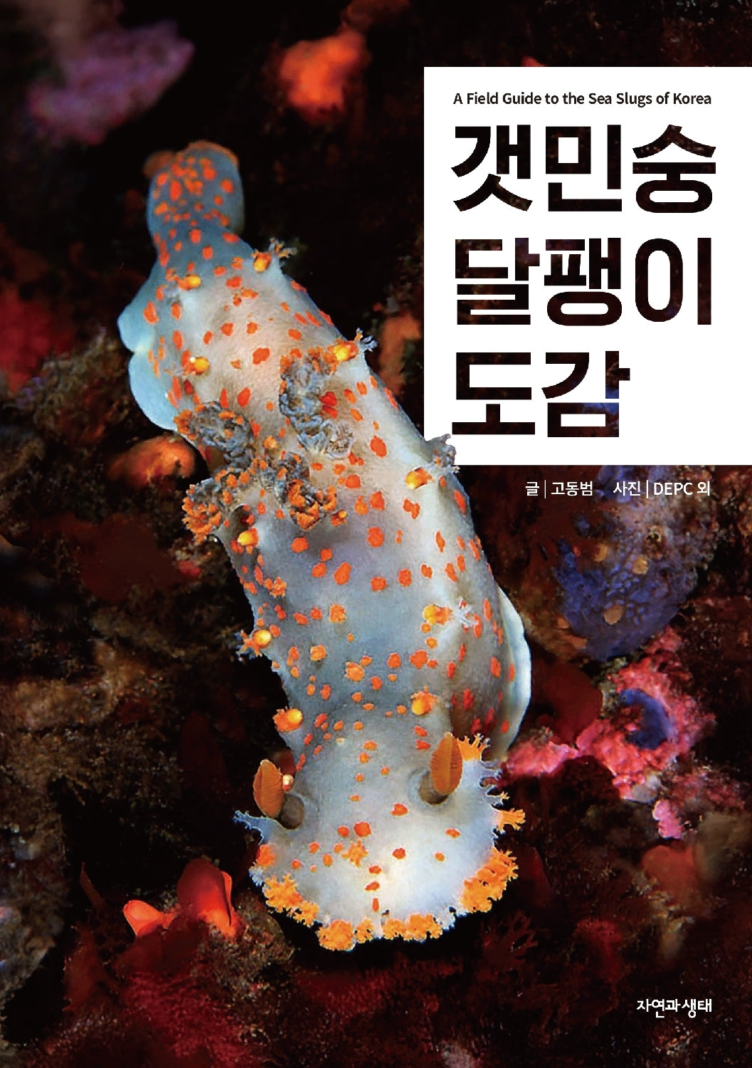 갯민숭달팽이 도감(한국 생물 목록 41)