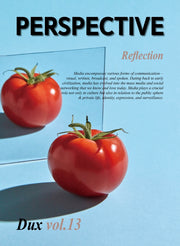 Perspective Dux Vol 13: Reflection