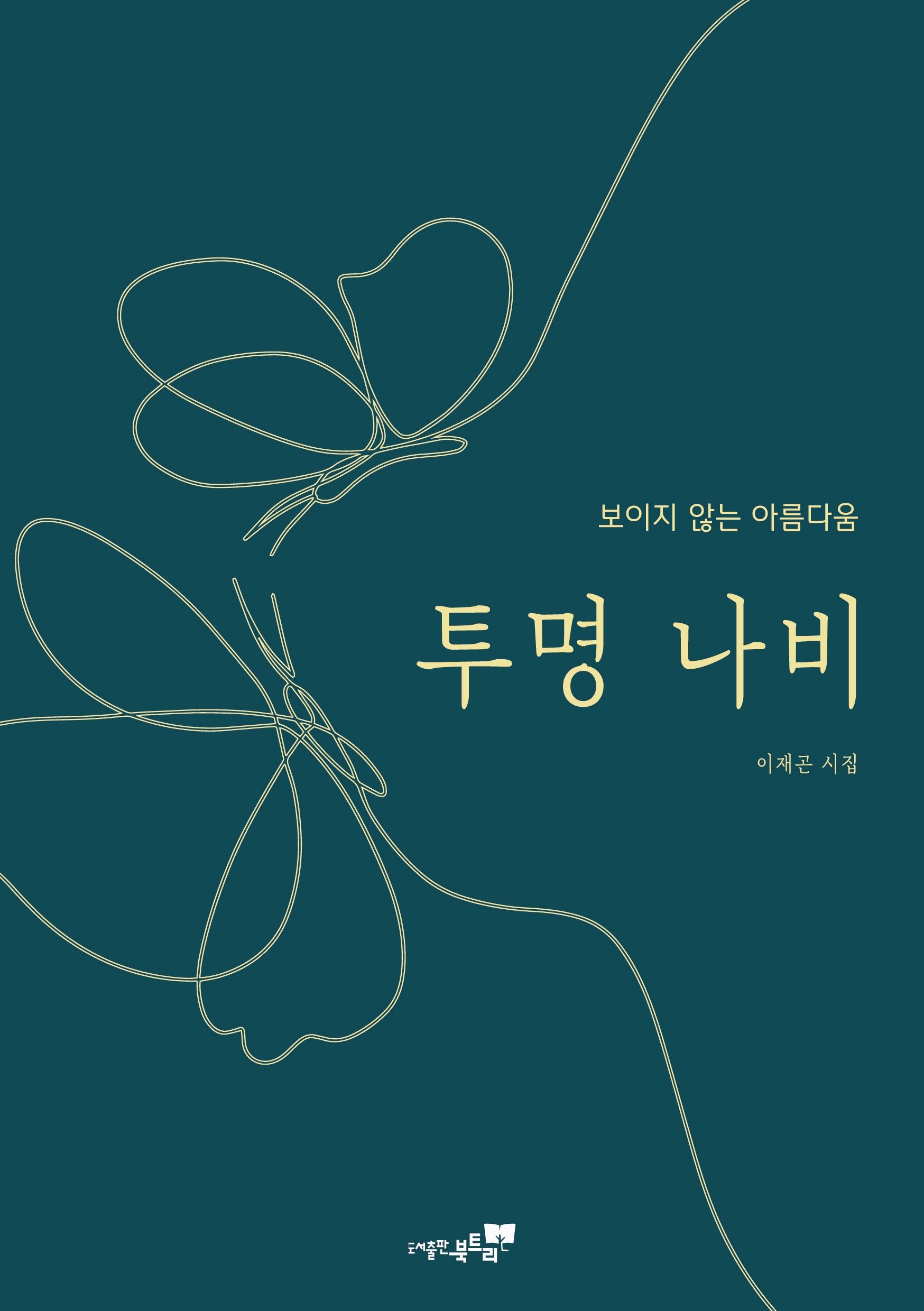 투명 나비
