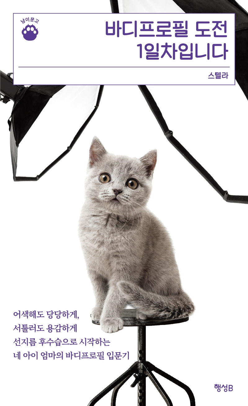 바디프로필 도전 1일차입니다(냥이문고 4)