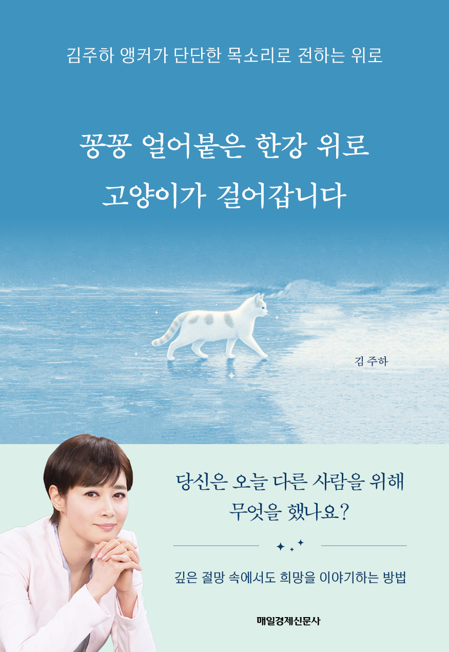 꽁꽁 얼어붙은 한강 위로 고양이가 걸어갑니다