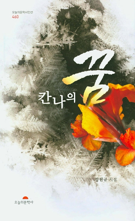 칸나의꿈(오늘의문학시인선 460)