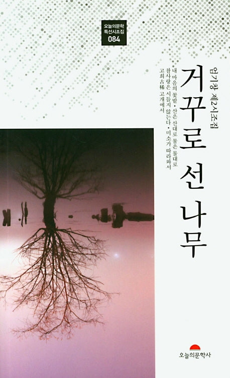 거꾸로 선 나무(오늘의문학 특선시조집 84)