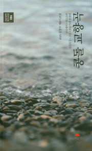 콩돌교향곡(오늘의문학 특선시조집 86)