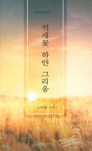 억새꽃 하얀 그리움(오늘의문학시인선 479)